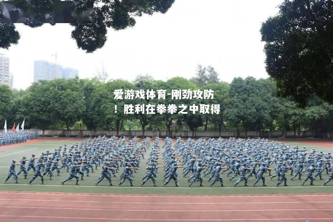 刚劲攻防！胜利在拳拳之中取得